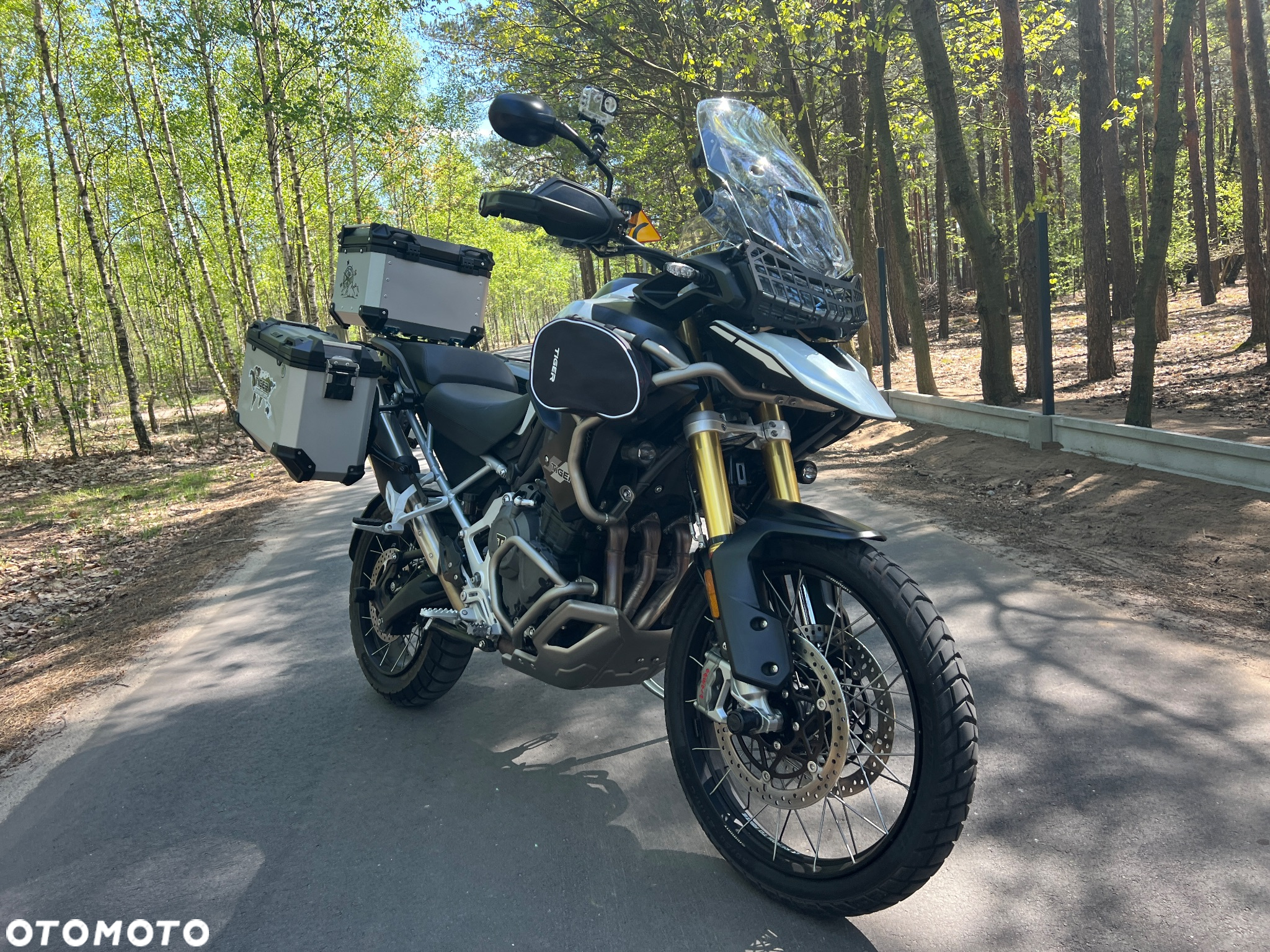 Triumph Tiger - 5