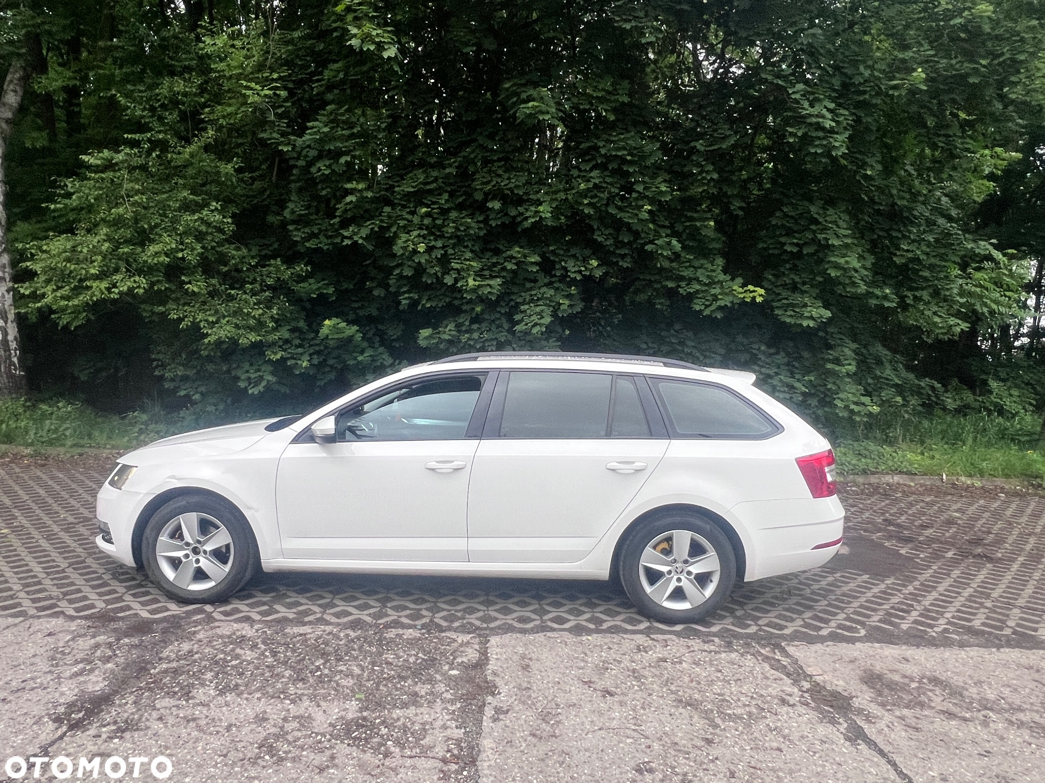 Skoda Octavia 1.6 TDI Active - 12