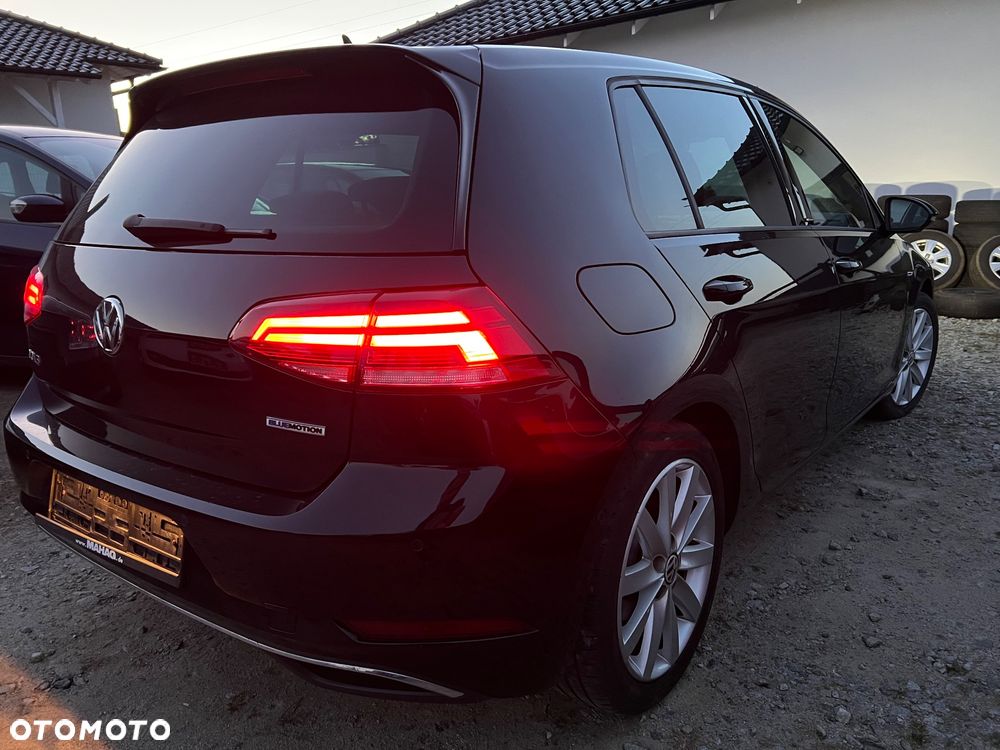 Volkswagen Golf - 8