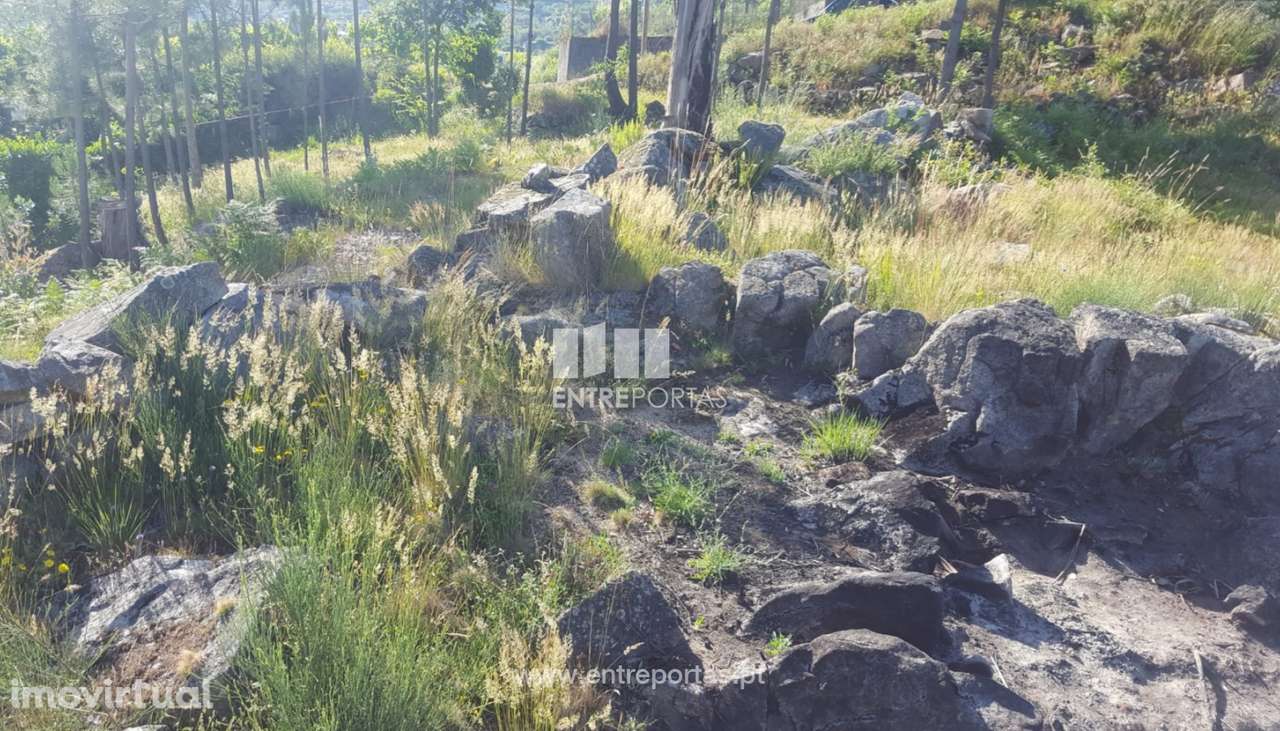 Venda de Terreno c/ 13700 m2, Tarouquela, Cinfães - Grande imagem: 3/32