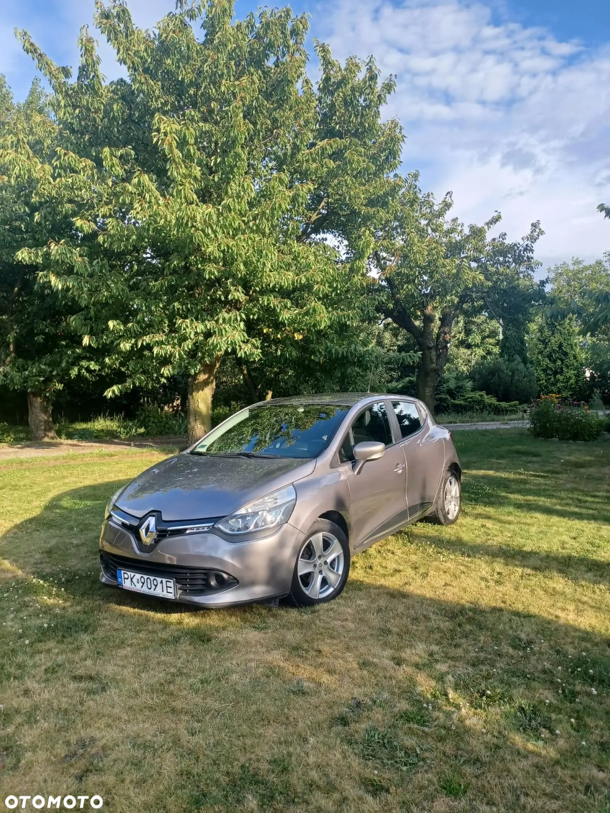 Renault Clio - 8
