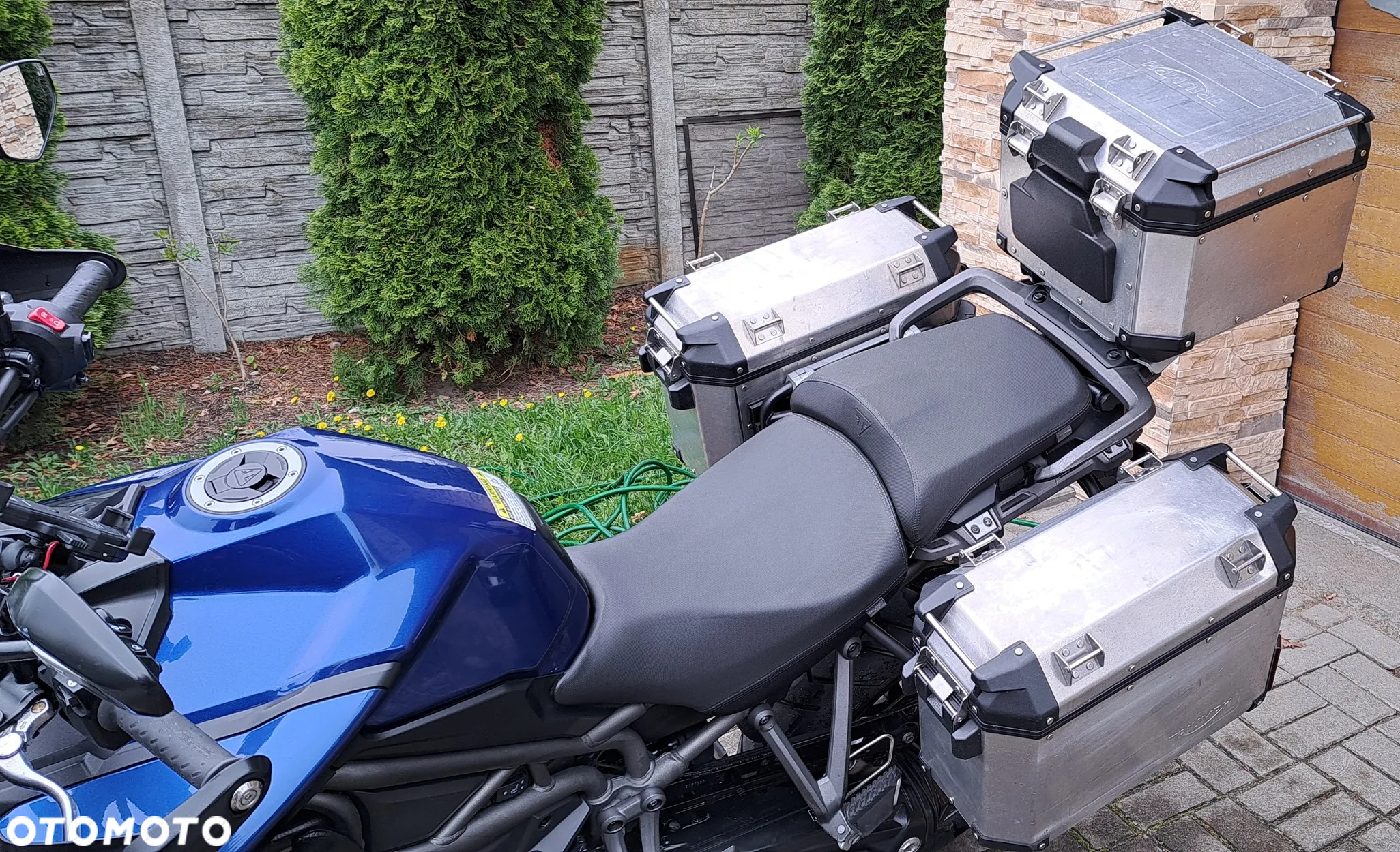 Triumph Tiger - 9