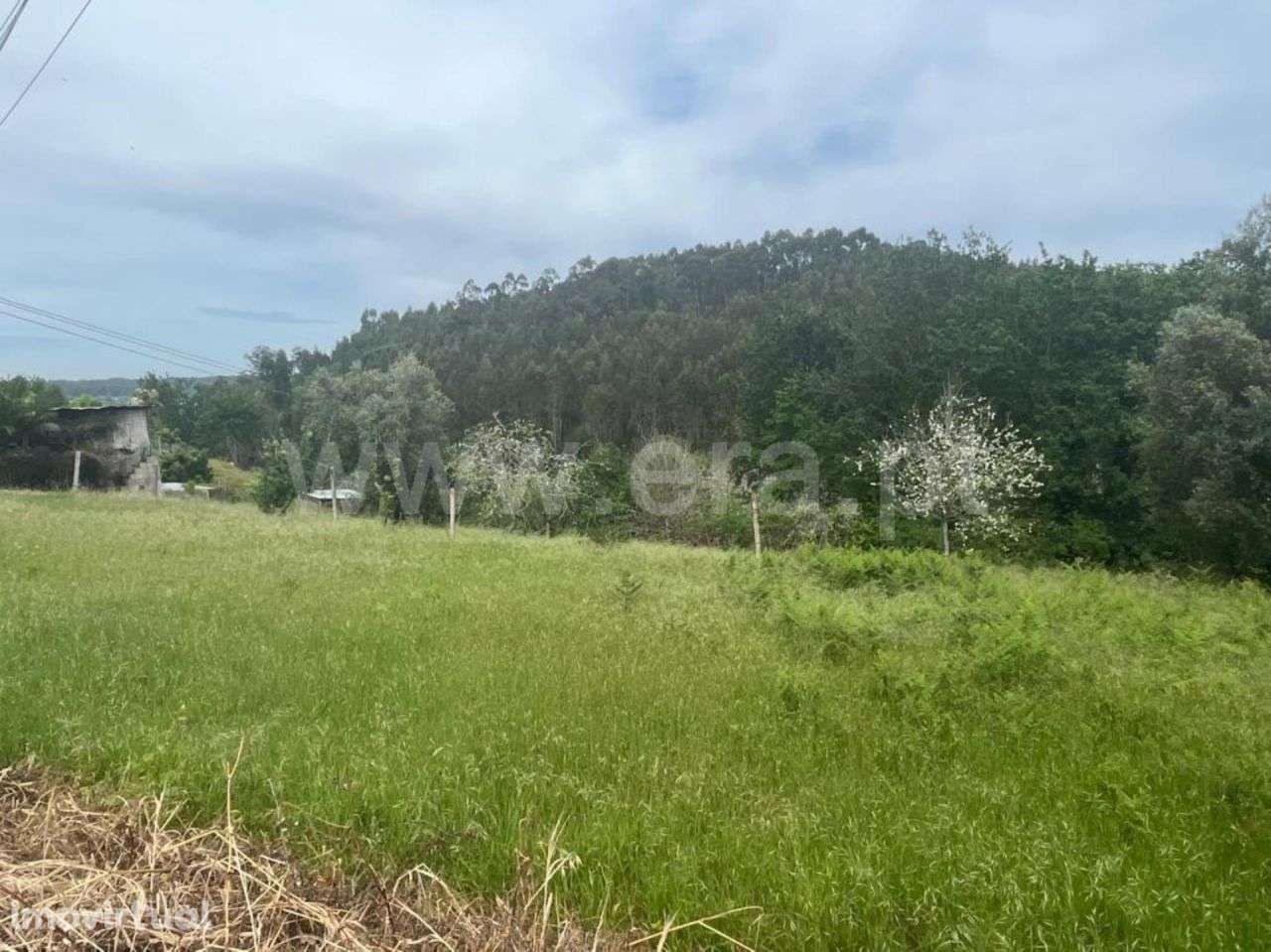 Terreno Recardães e Espinhel | ERA Imobiliária - Grande imagem: 2/11