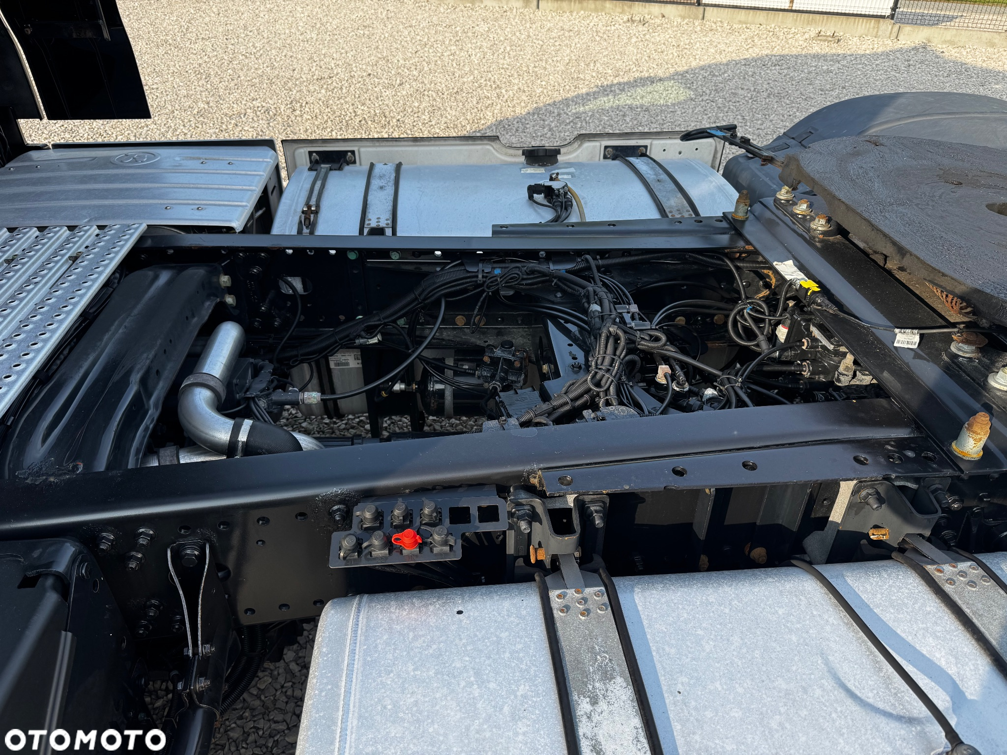 MAN TGX/ RED LION 500/ Z NIEMIEC/ RETARDER - 11