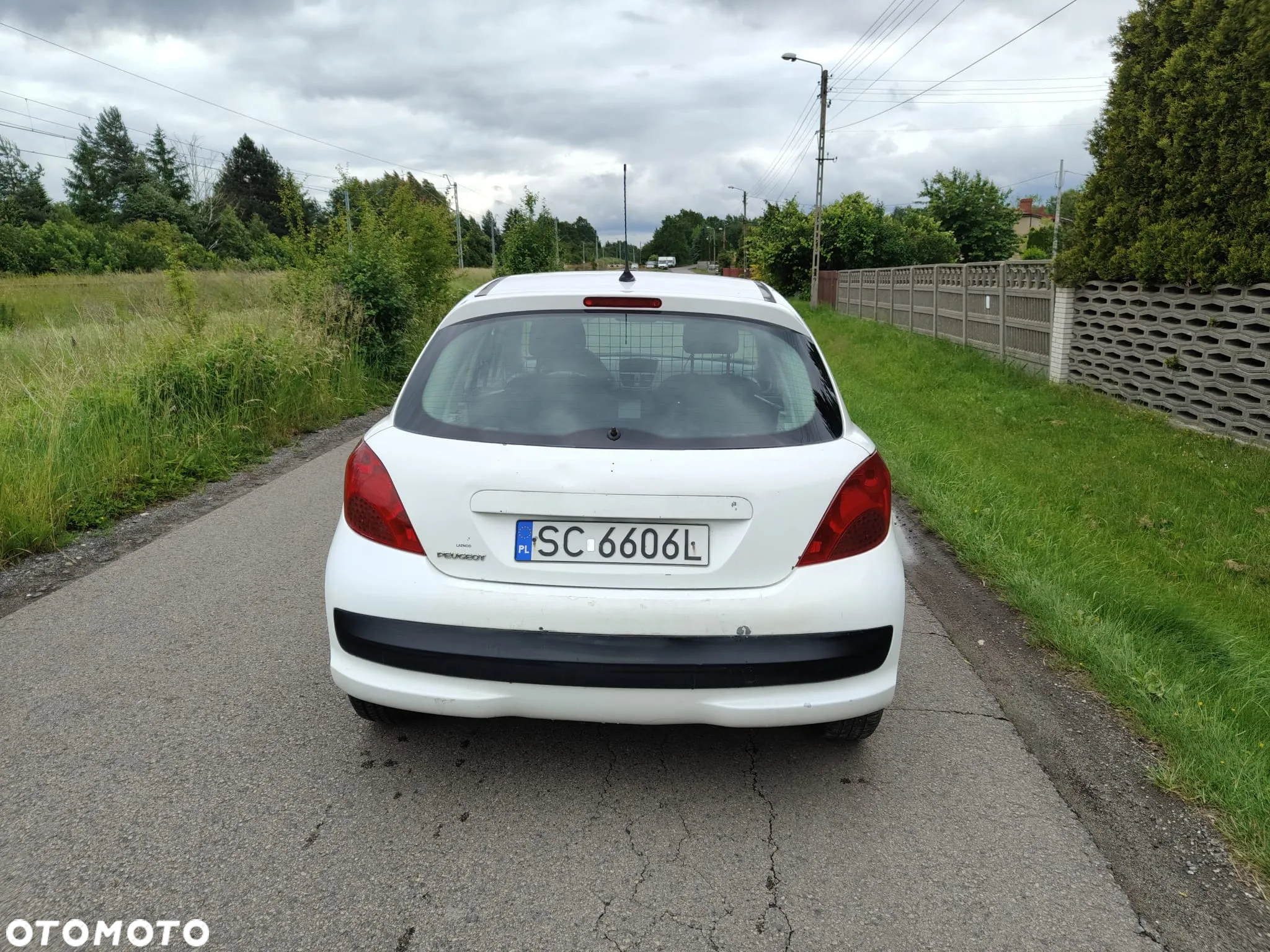 Peugeot 207 - 5