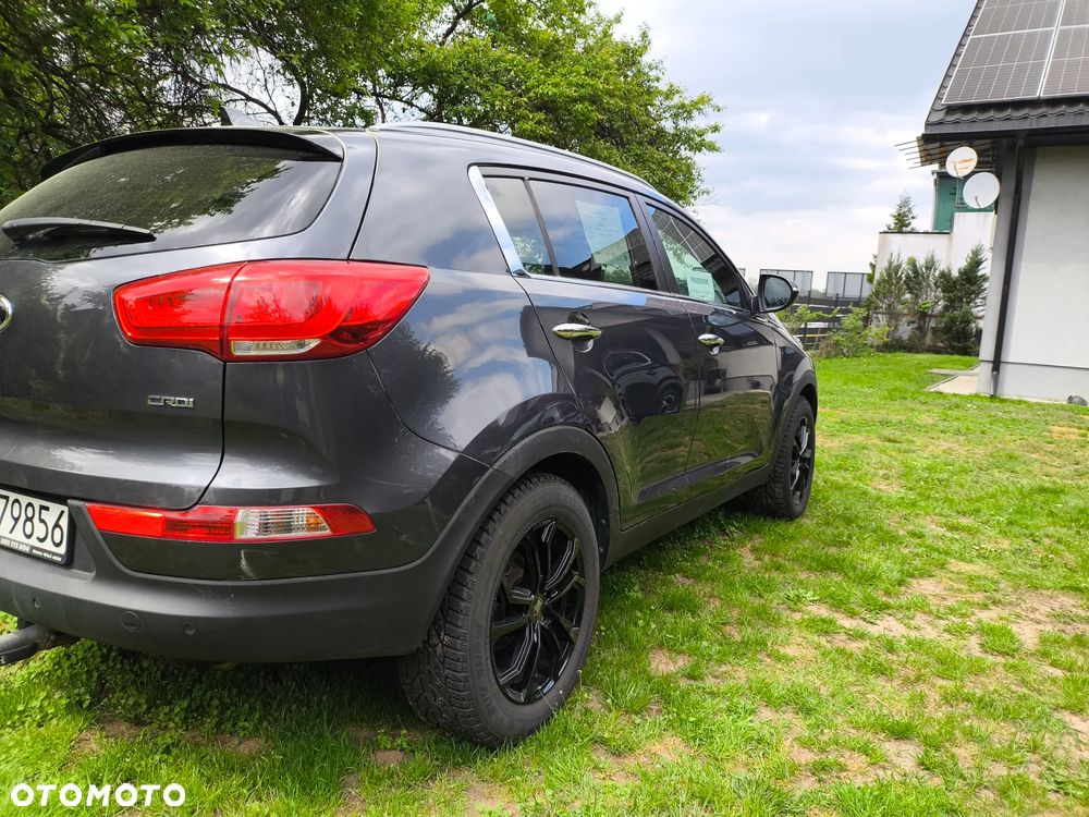 Kia Sportage - 25