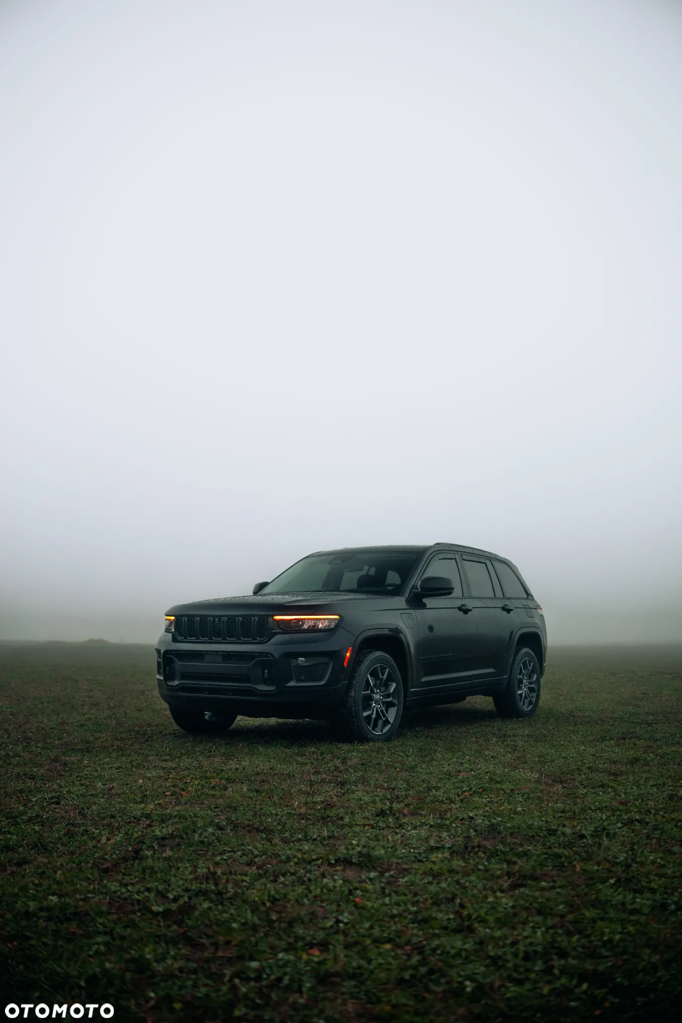 Jeep Grand Cherokee 2.0 4xe Plug-in Hybrid Automatik Overland