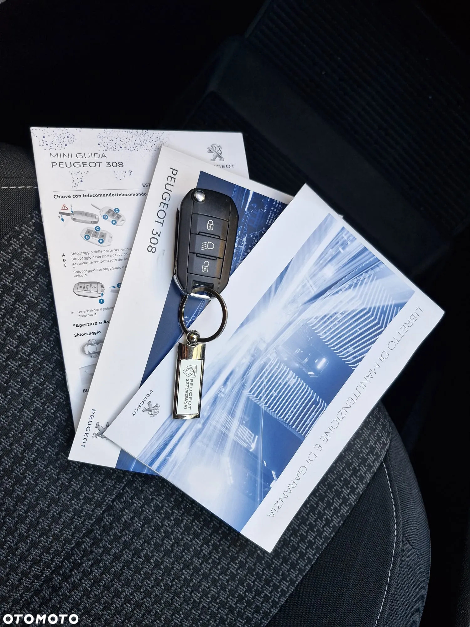 Peugeot 308 1.5 BlueHDi Active S&S - 19