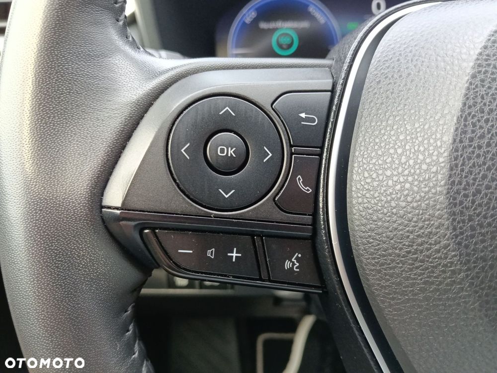 Toyota RAV4 - 18