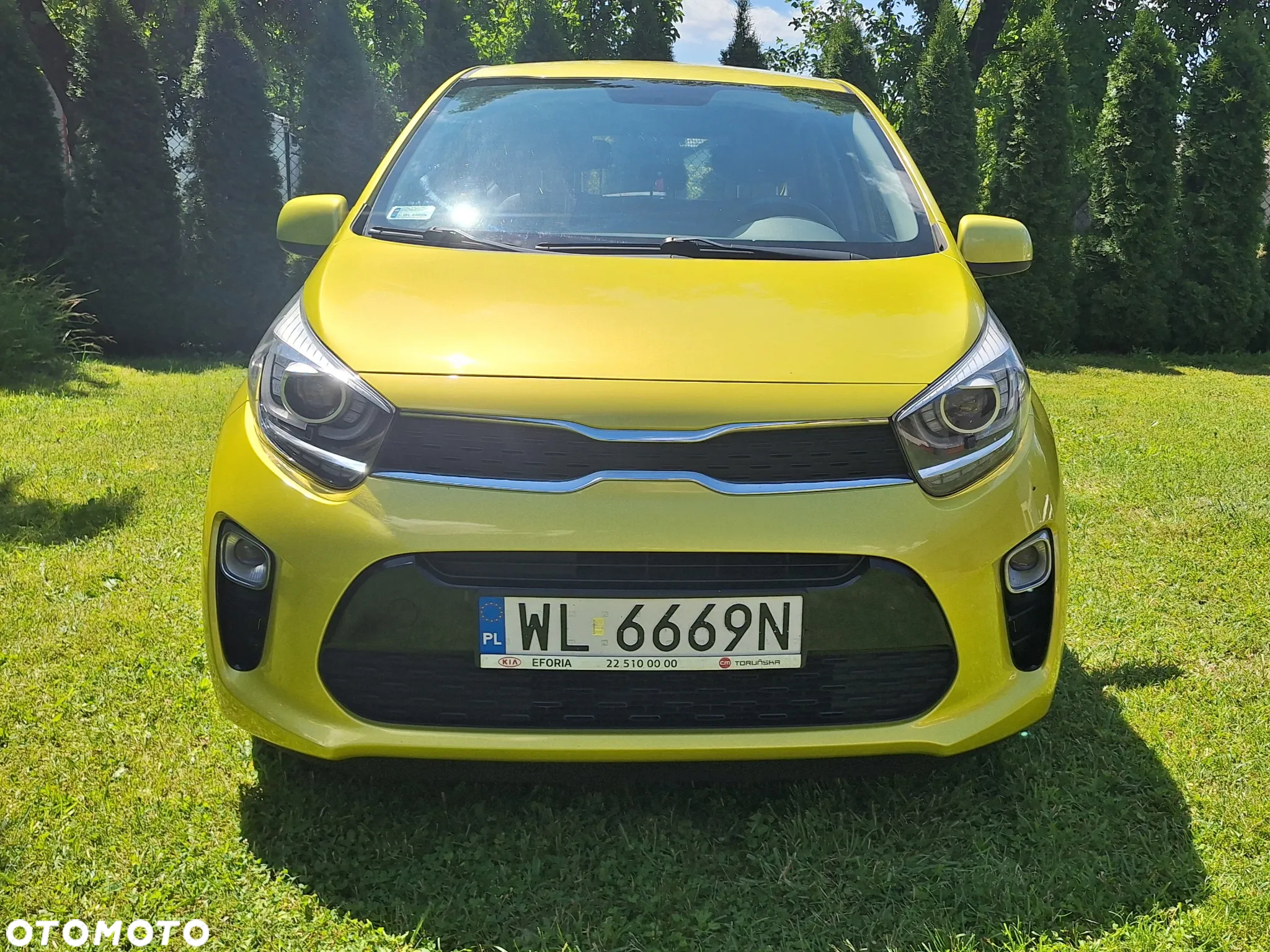 Kia Picanto 1.2 L - 2