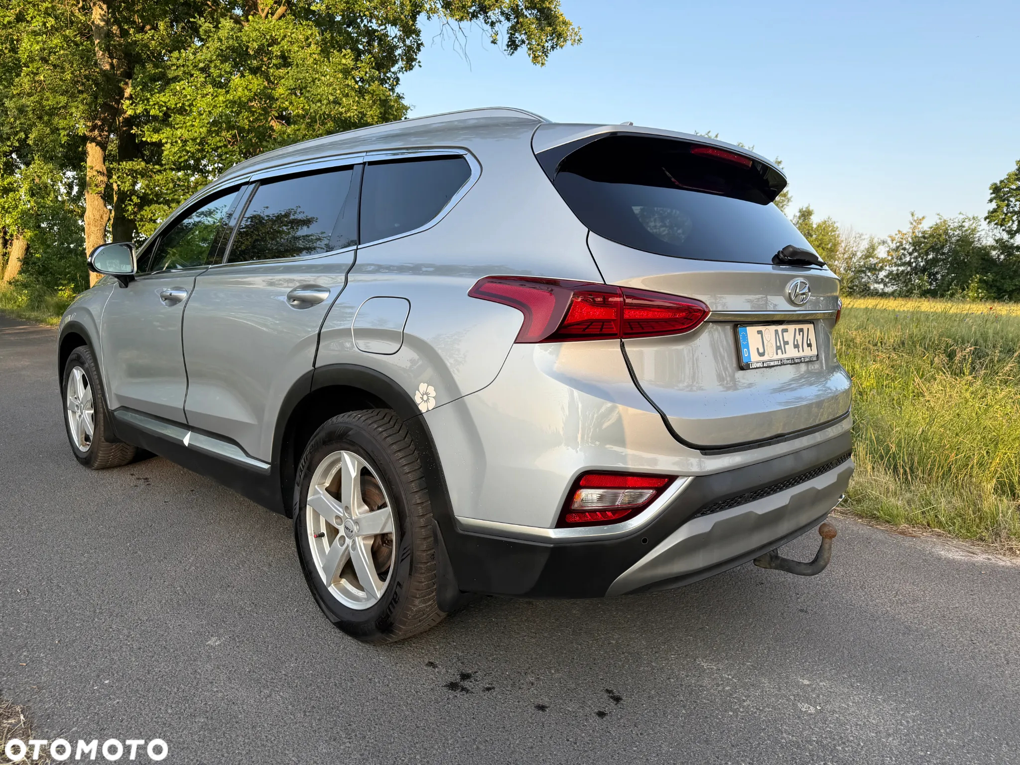 Hyundai Santa Fe 2.2 CRDi Platinum 4WD - 6