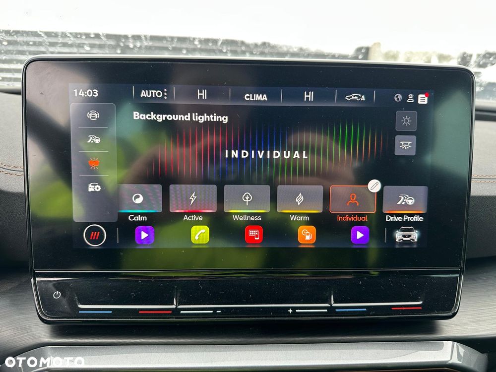 Cupra Formentor 1.5 TSI DSG - 17