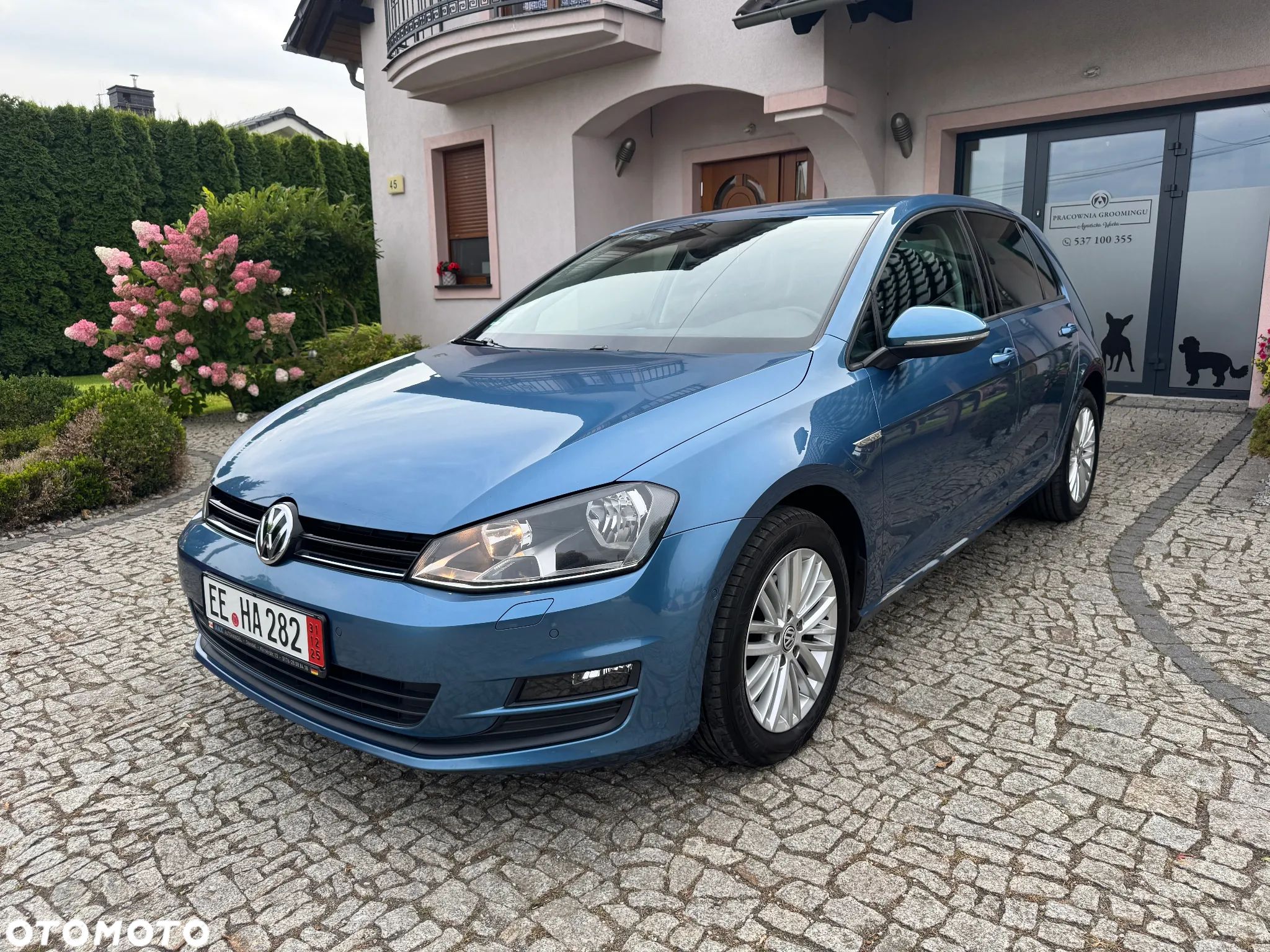 Volkswagen Golf 1.6 BlueTDI Cup - 1