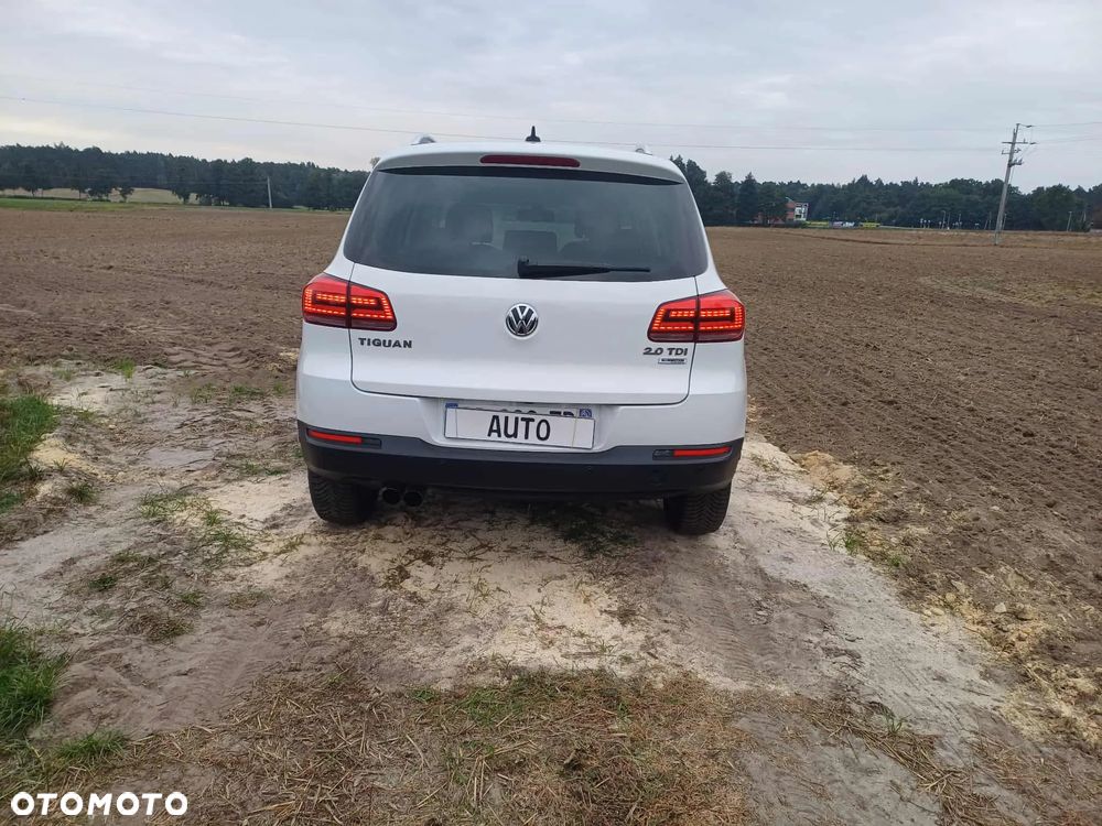 Volkswagen Tiguan - 10