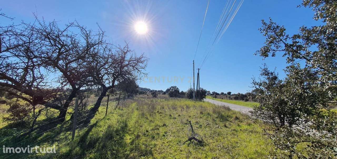 Terreno Terena S.Pedro  EN  255 Alandroal - Grande imagem: 5/6