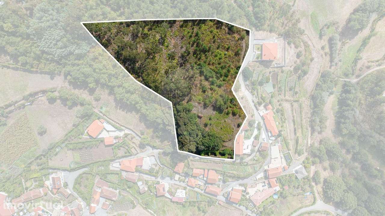 Quinta  para venda - Grande imagem: 5/12