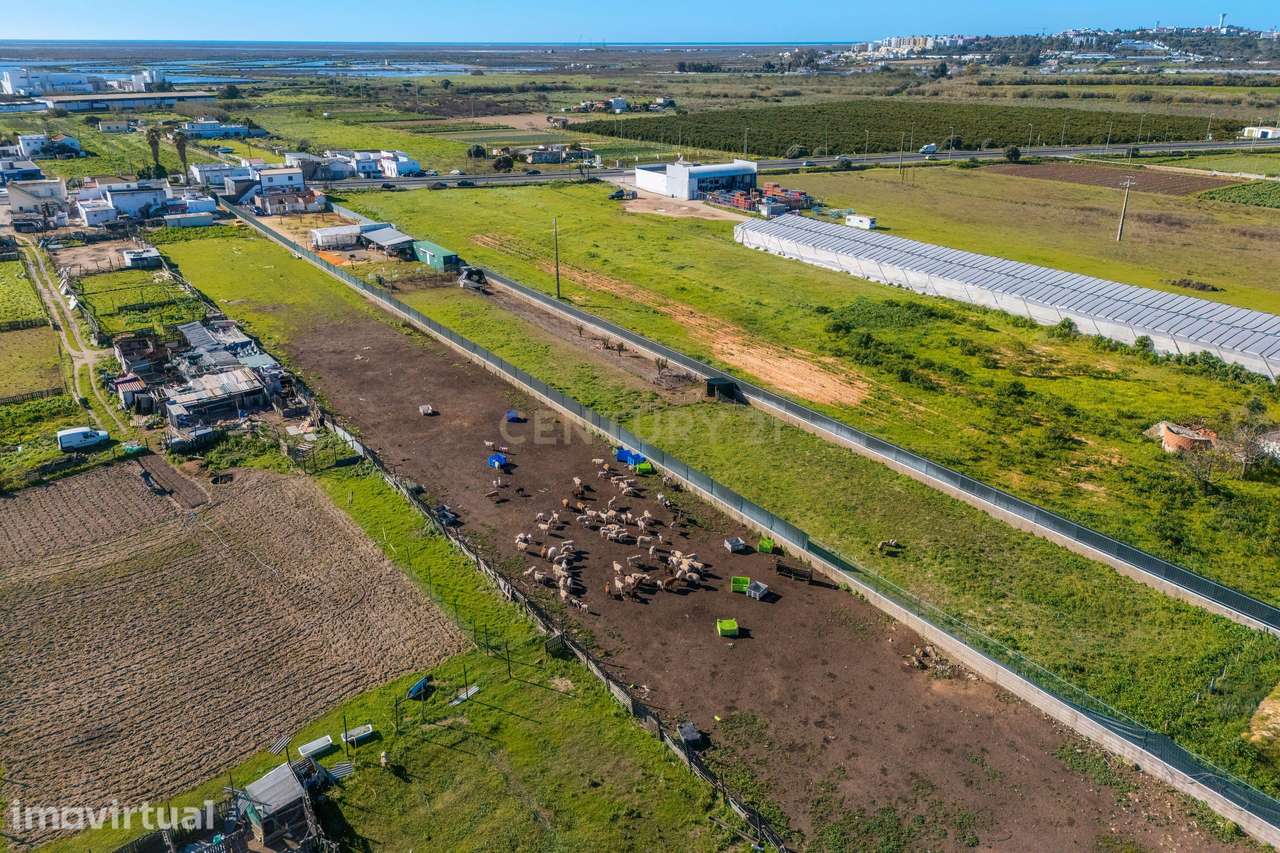 Moradia para reabilitar | Terreno 4759m2 | Faro | Algarve - Grande imagem: 4/40