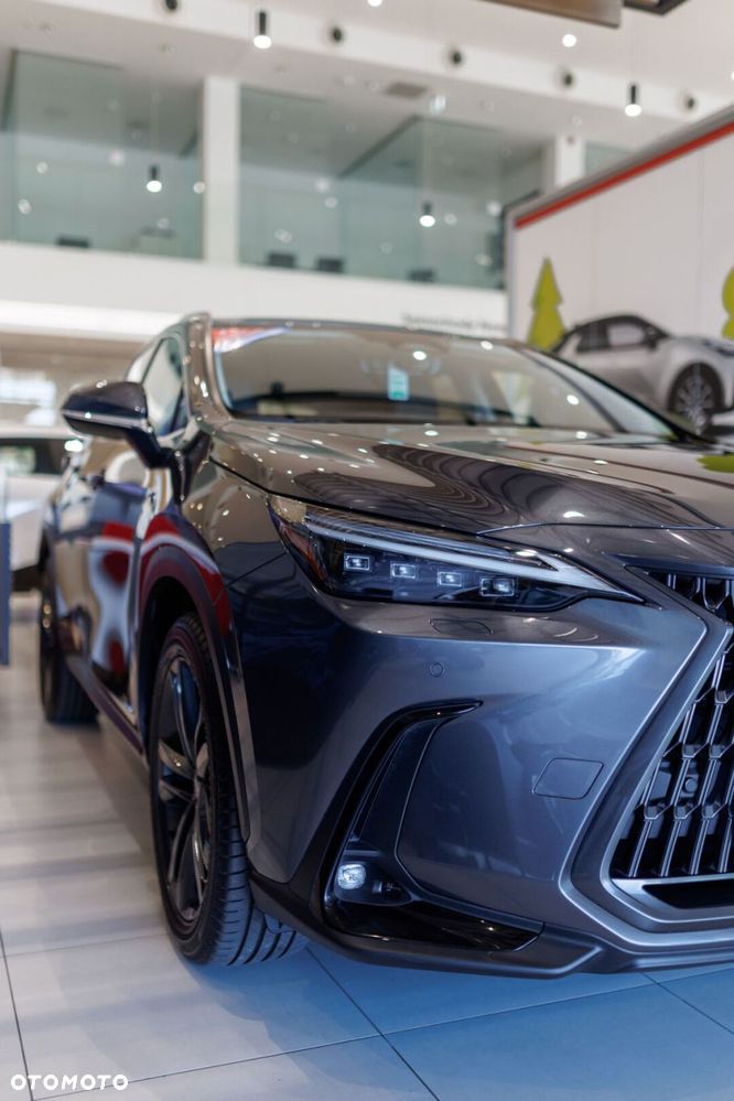 Lexus NX - 11