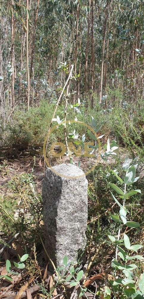 Terreno Rústico - Grande imagem: 2/15