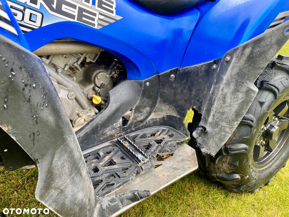Kawasaki Brute Force - 4