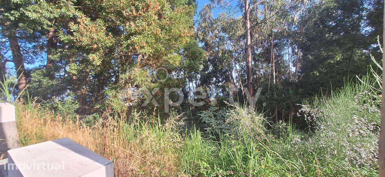 Terreno com 4940 m2 no sítio da Achada Rocha, Gaula, Madeira - Grande imagem: 4/7