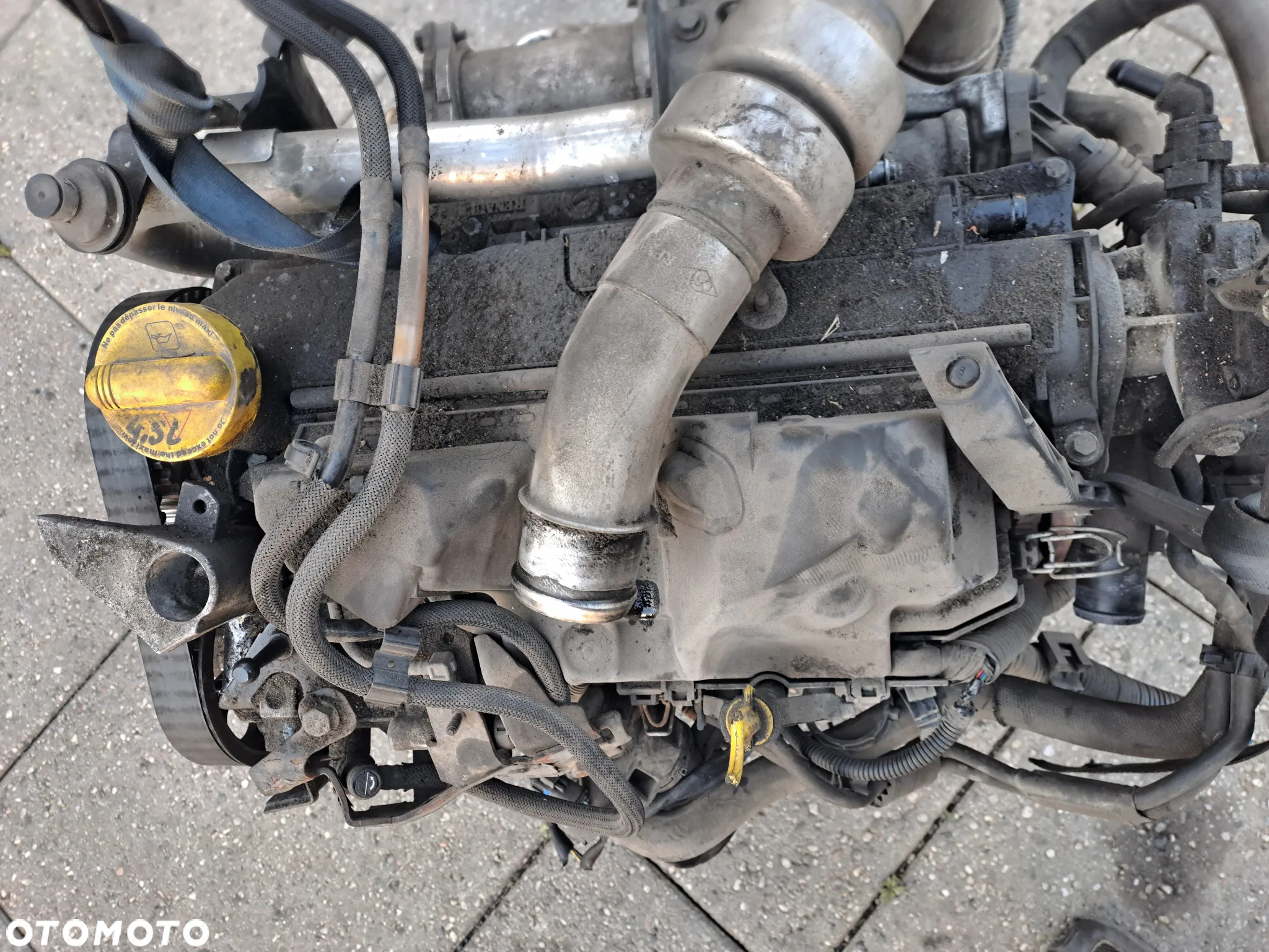 Nissan Note Kubistar Micra III 1.5 DCi silnik kompletny kod K9K276 K9K400 - 7