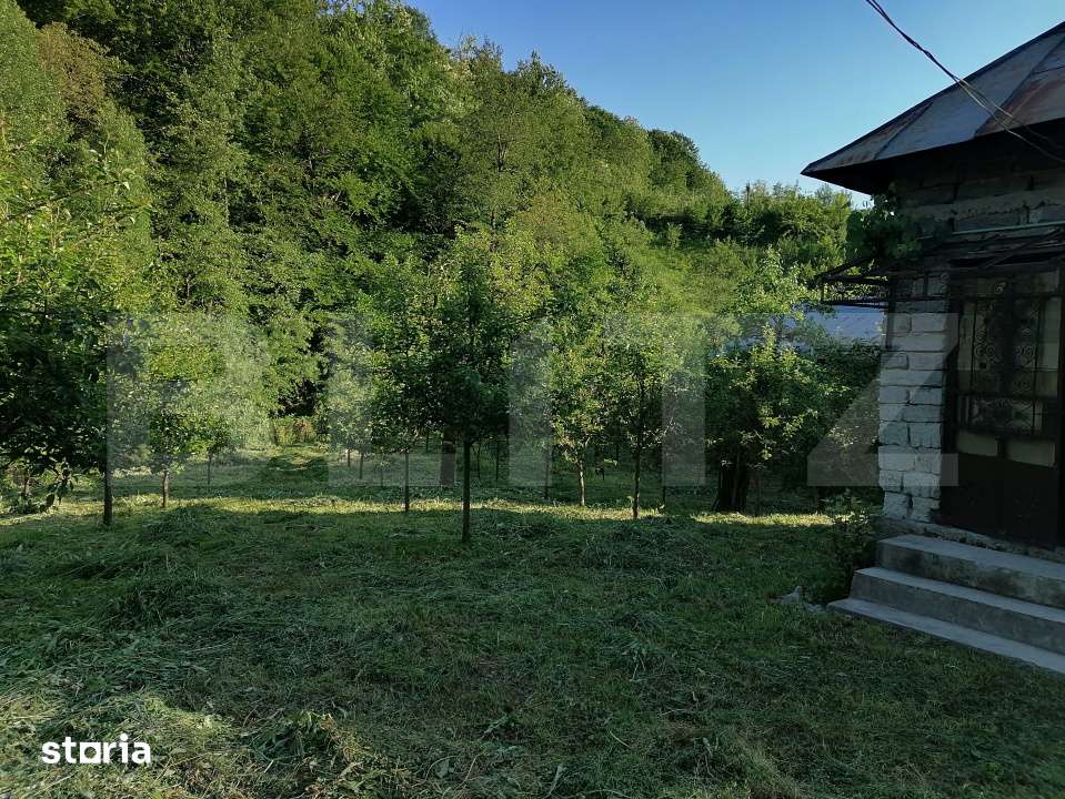 Casa la rRsu cu Livada, Teren 1000 mp.  Gemenea Bratulesti - Imagine principală: 2/19