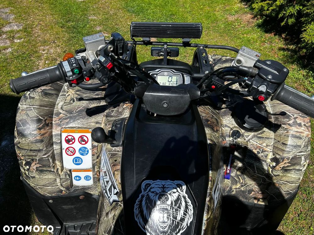 Yamaha Grizzly - 10