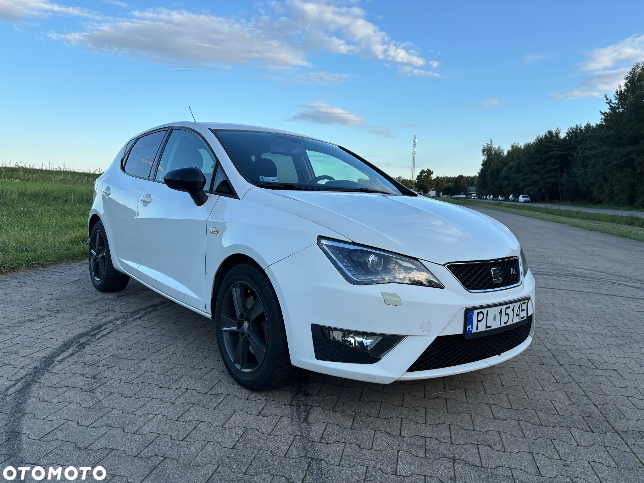Seat Ibiza 2.0 TDI FR - 7