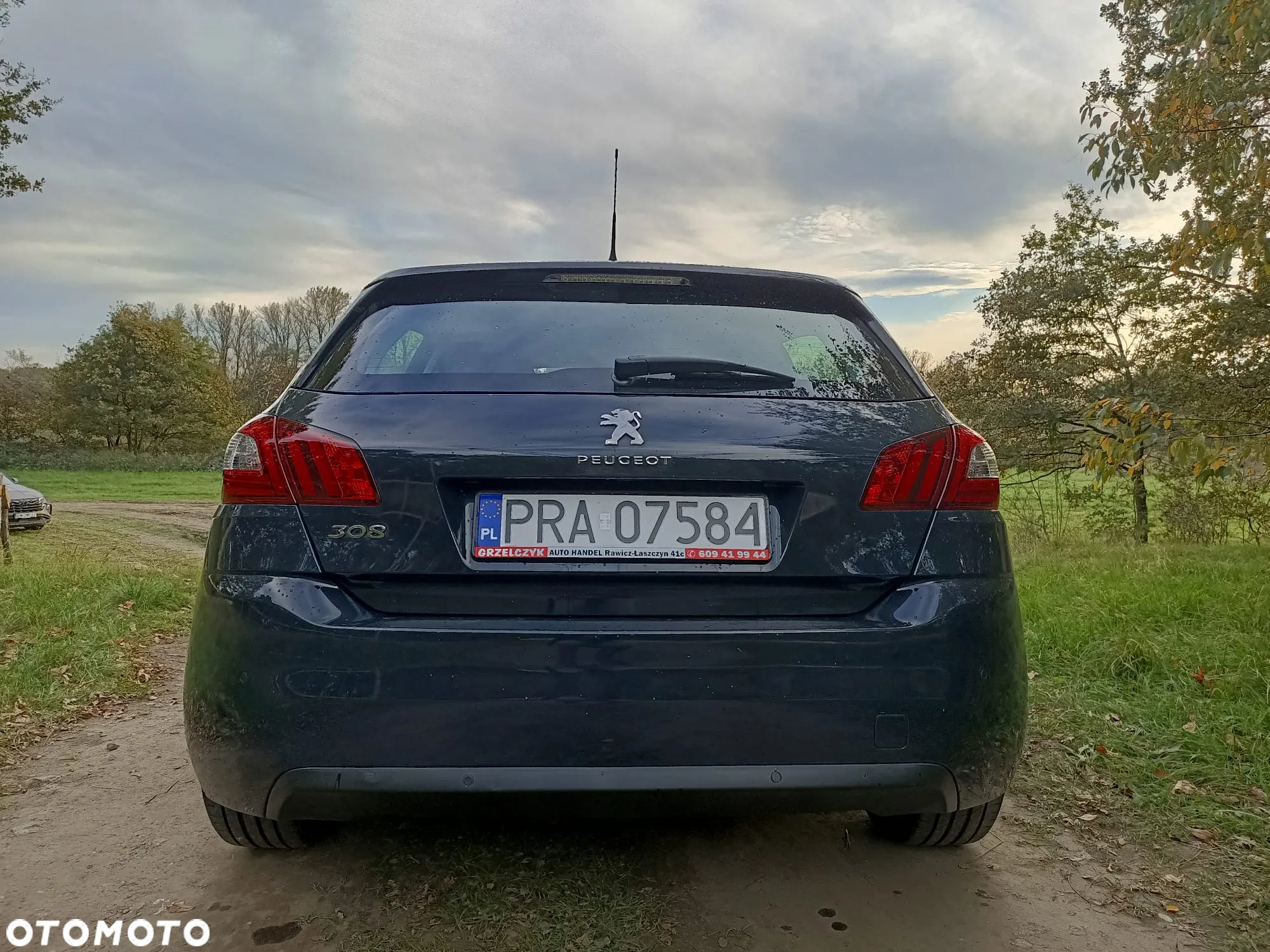 Peugeot 308 1.6 THP Active - 12