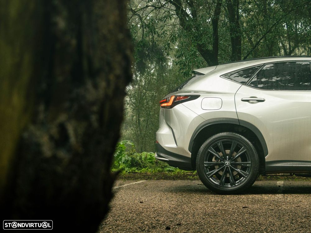 Lexus NX 450h+ - 21