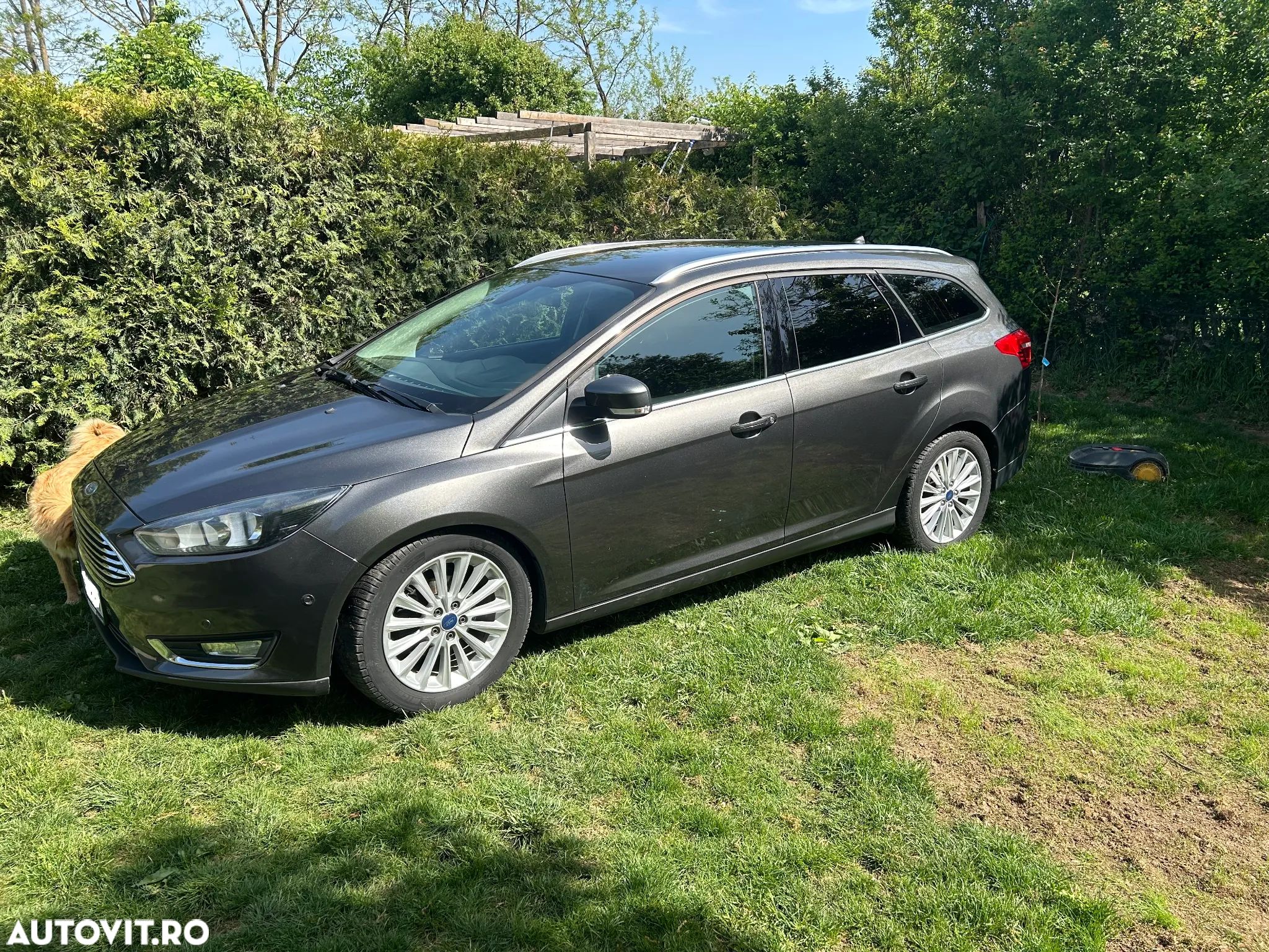 Ford Focus 1.5 EcoBlue Start-Stopp-System Aut. ACTIVE - 1