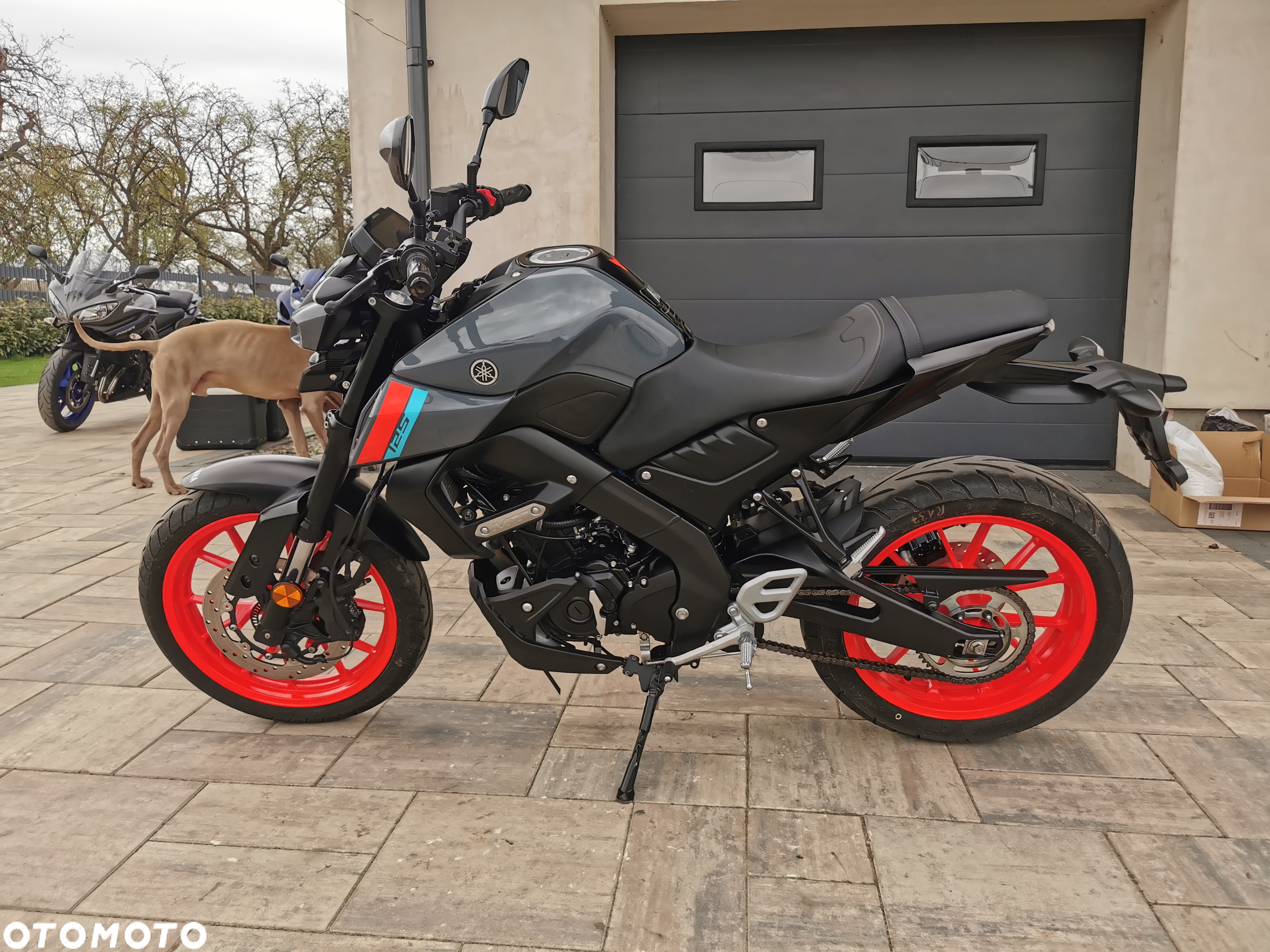 Yamaha MT - 5