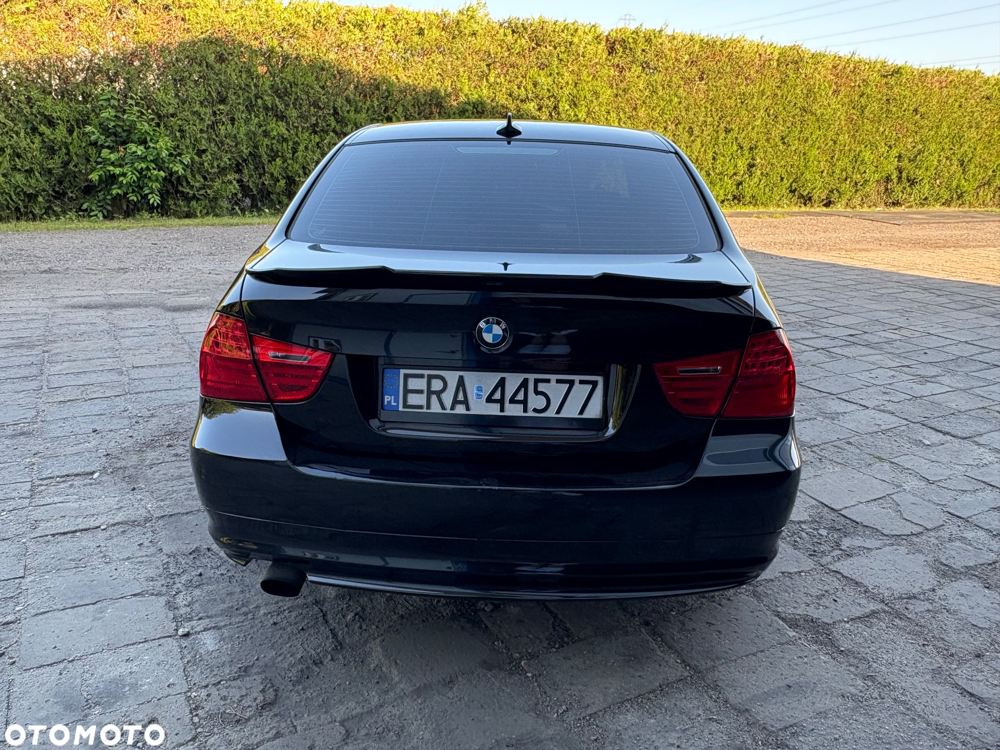 BMW Seria 3 - 25
