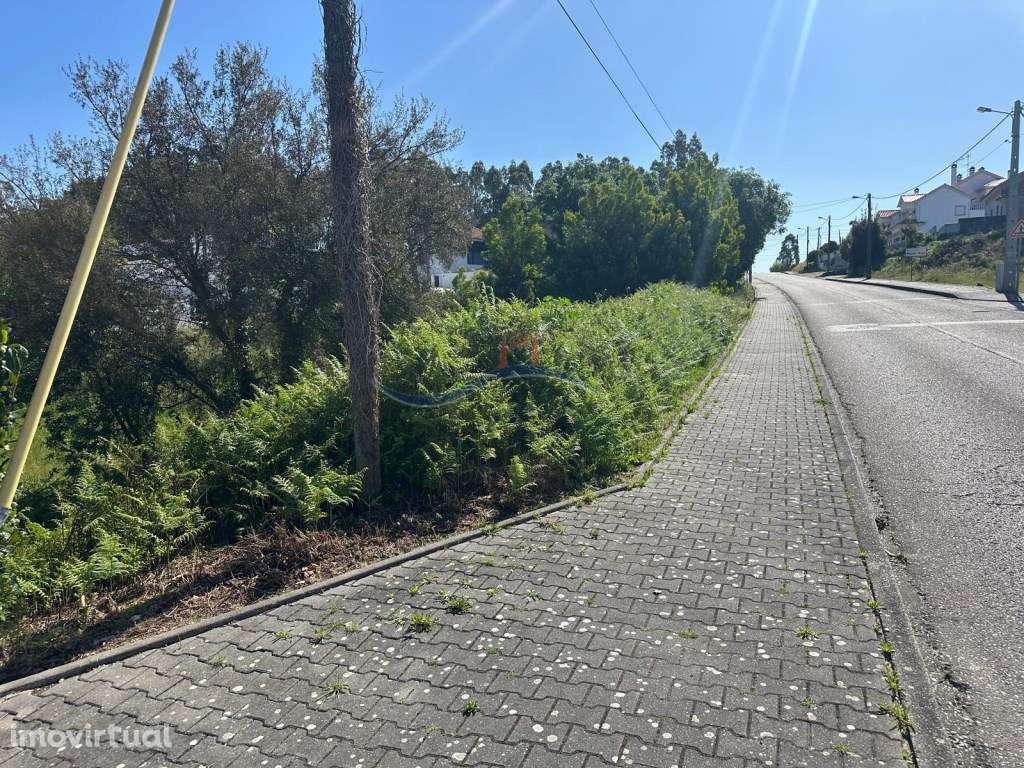 Terreno - Monte Real - Grande imagem: 2/14