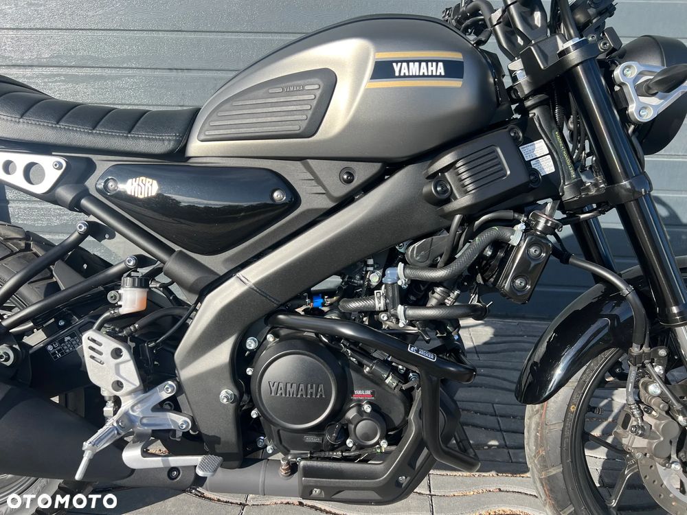 Yamaha XSR - 6