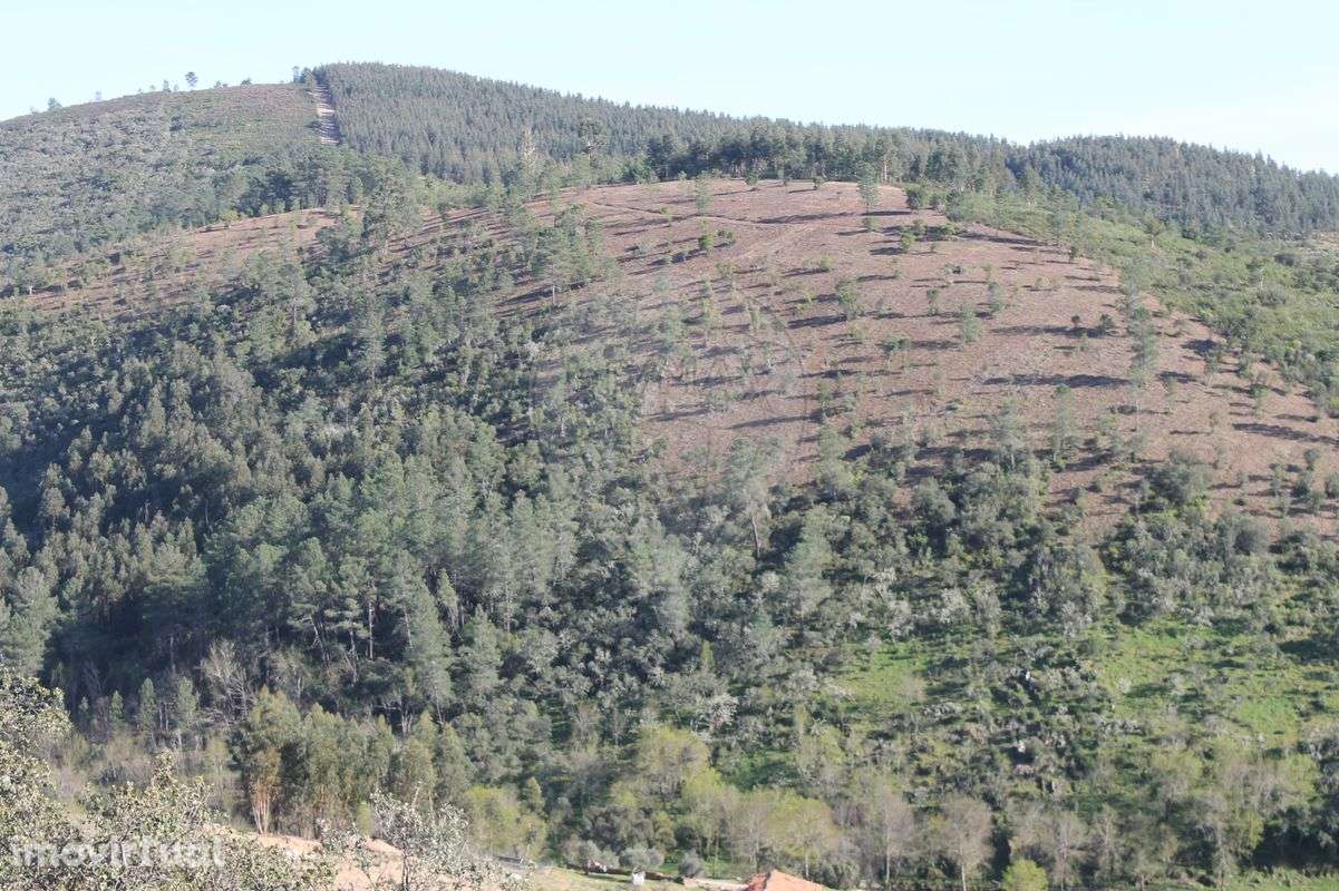 Terreno  para venda - Grande imagem: 4/11