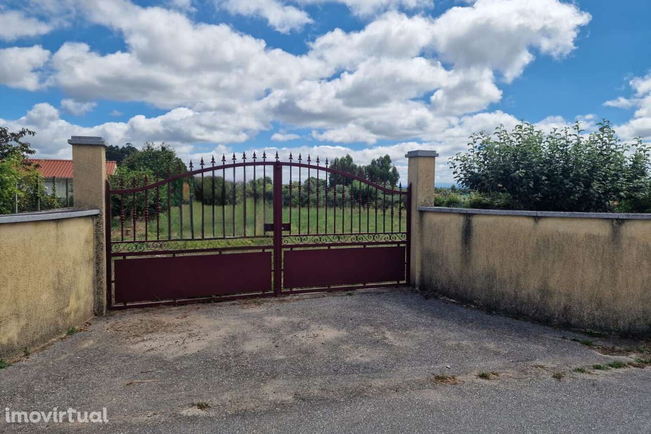 Terreno  Venda em Mouraz e Vila Nova da Rainha,Tondela - Grande imagem: 4/4