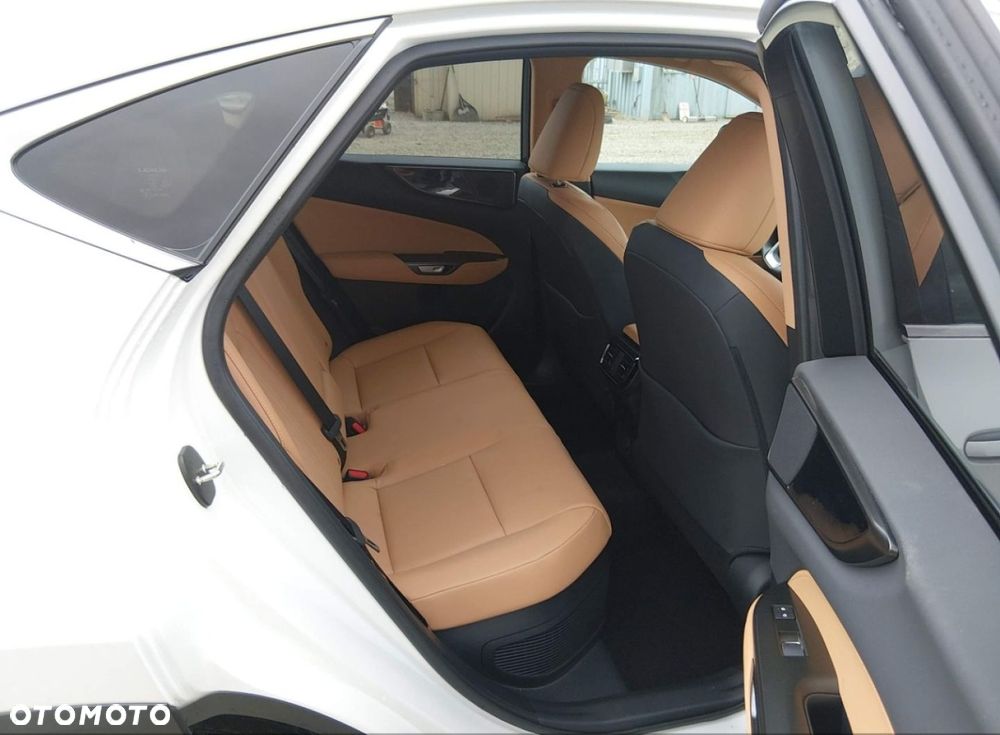 Lexus NX - 10