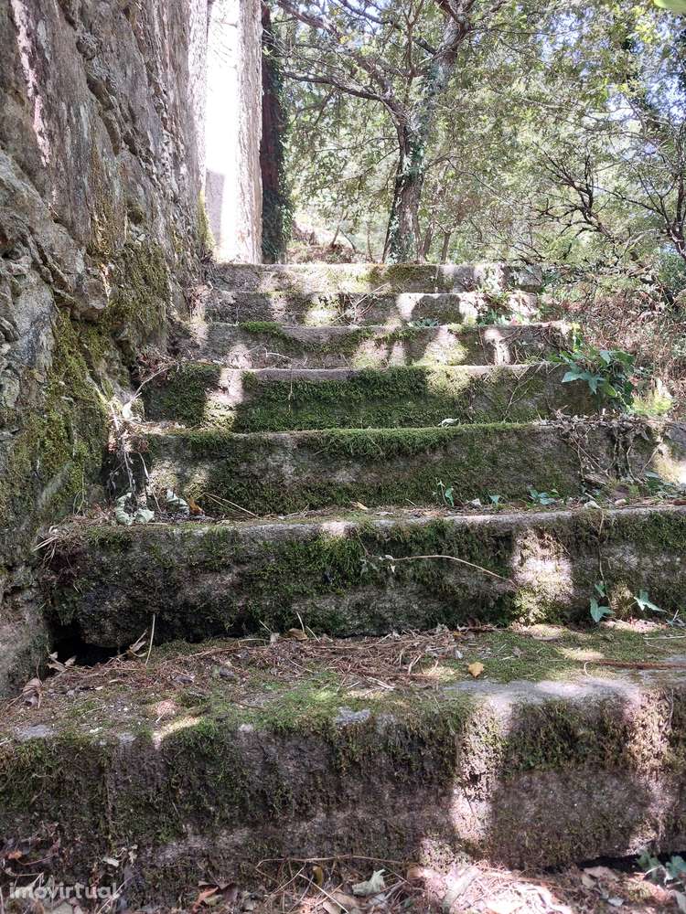 Terreno p/ construção – Sever do Vouga - Grande imagem: 3/18