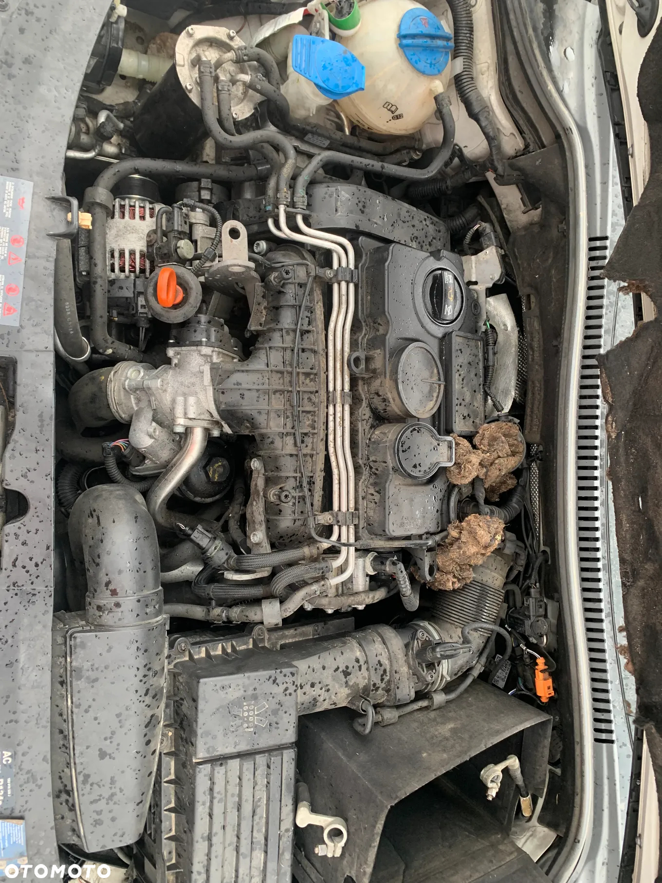 SEAT LEON FR 2008 BMN *SAMOCHÓD NA CZĘŚCI* 382 LAMPA LUSTERKO DRZWI MASKA KLAPA BELKA ZDERZAK BŁOTNIK PRAWA LEWA PRZÓD TYŁ - 7