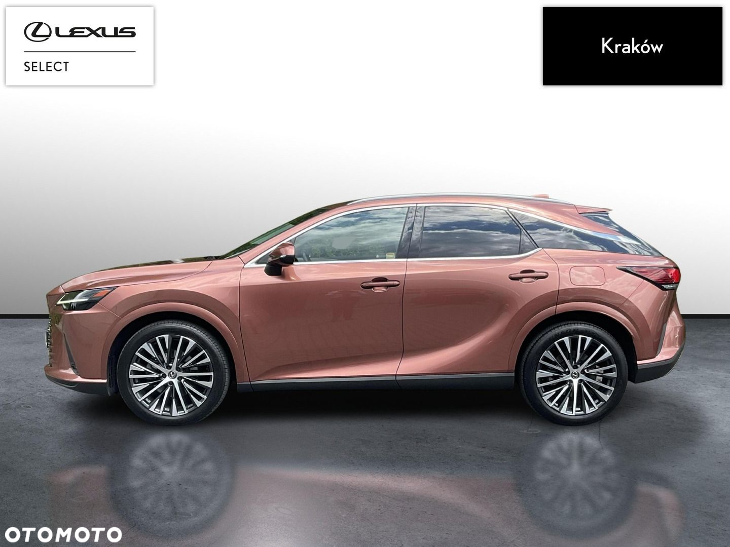 Lexus RX - 2