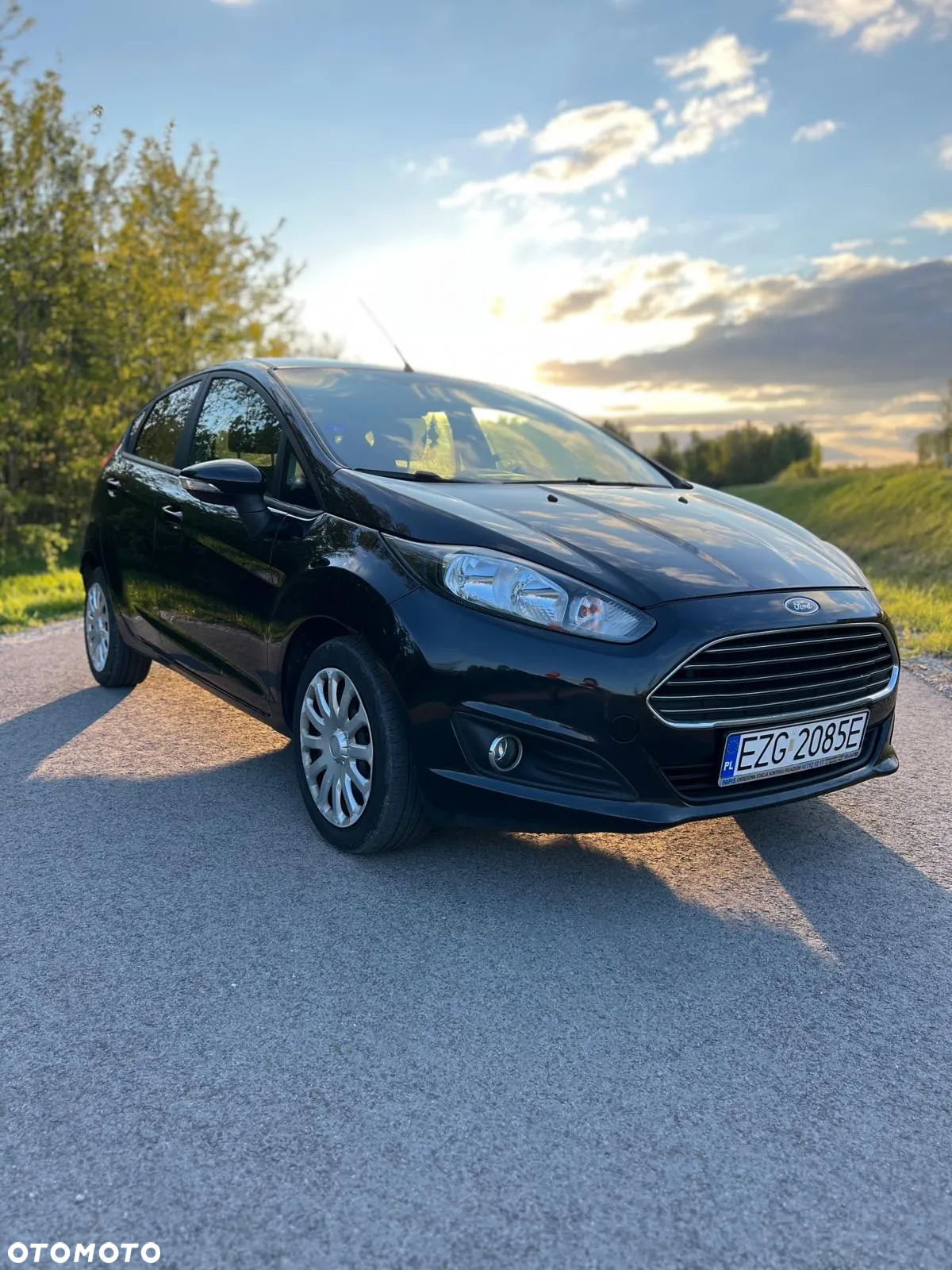 Ford Fiesta 1.0 EcoBoost Silver X EU6 - 11