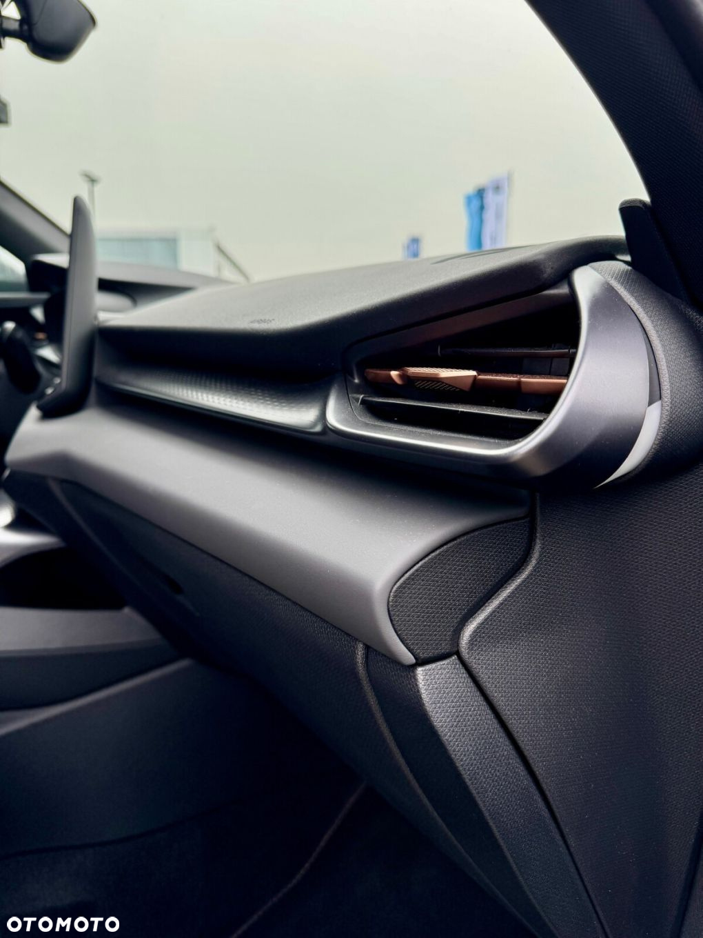 Cupra Terramar - 21