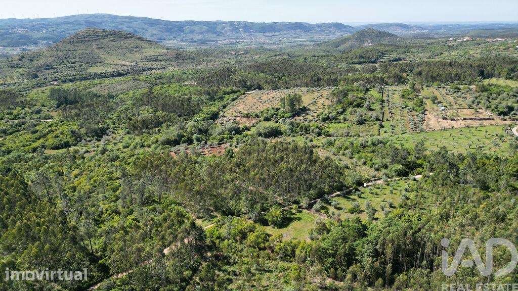 Terreno Agrícola em Alvorge - Grande imagem: 4/20