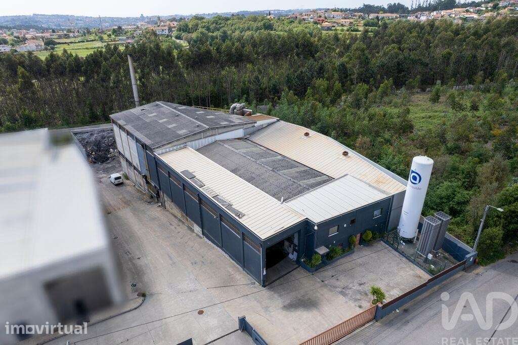 Armazém em Nogueira do Cravo e Pindelo de 1606,00 m2 - Grande imagem: 2/14