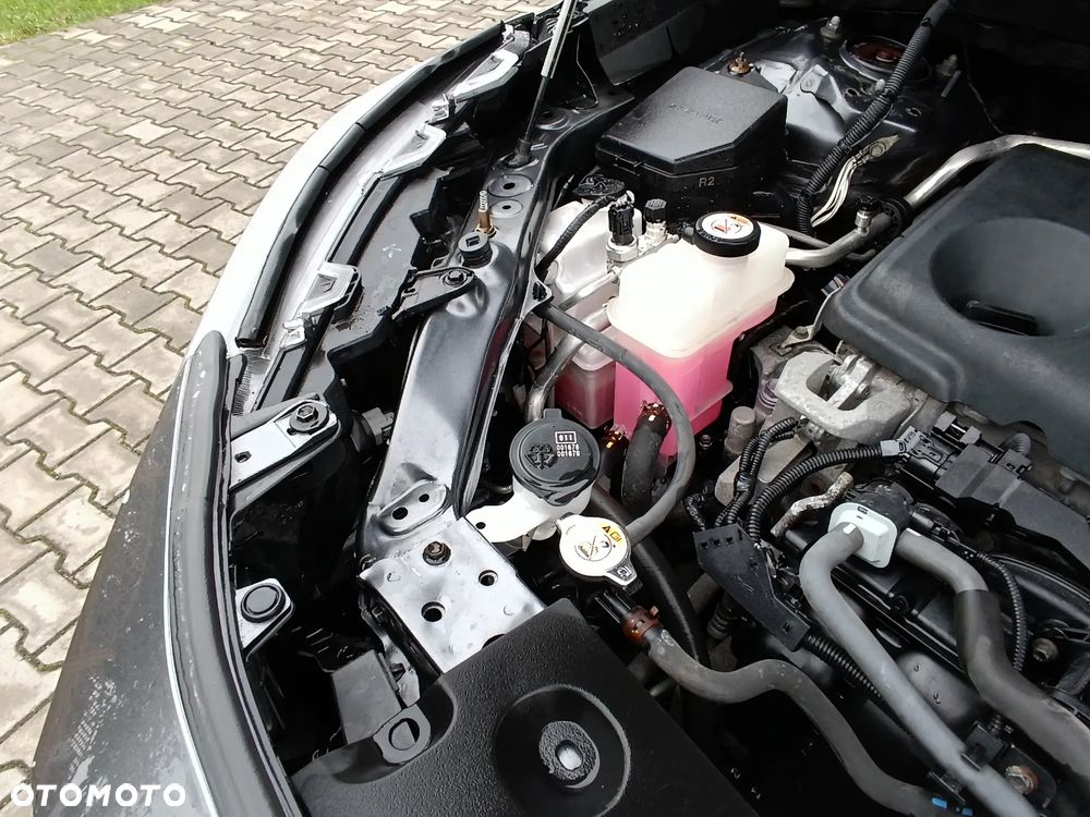 Toyota RAV4 - 19