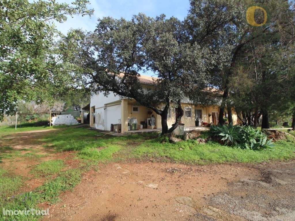 Extraordinária quinta em Santa Bárbara de Nexe com 10.000 m2 - Grande imagem: 3/4