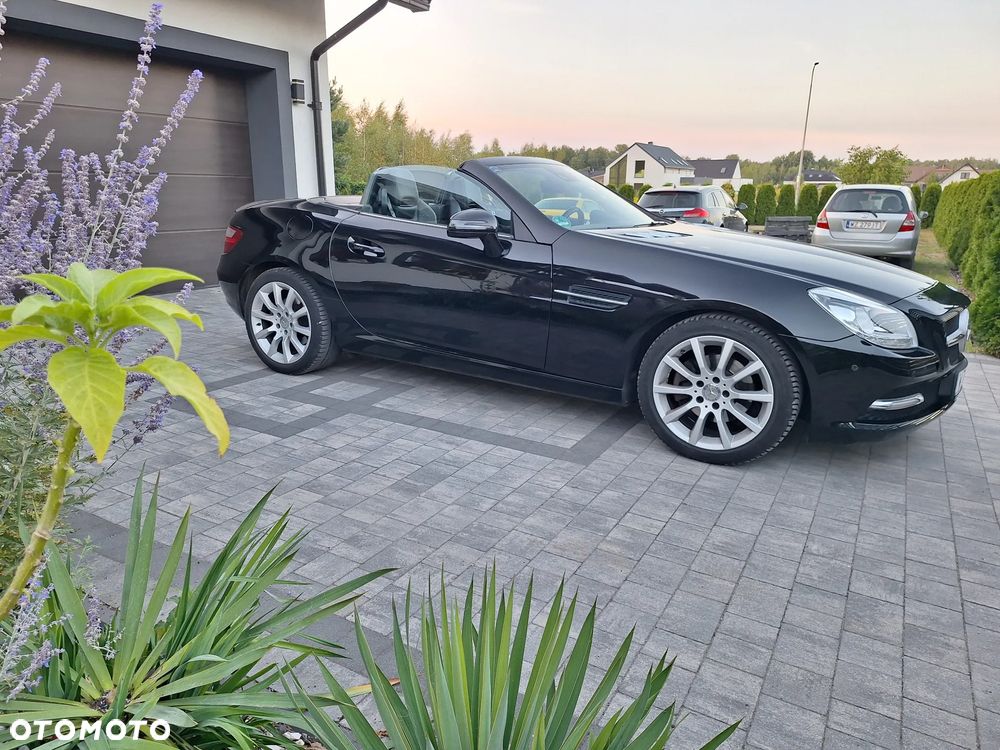Mercedes-Benz SLK 200 (BlueEFFICIENCY) CarbonLOOK Edition - 6
