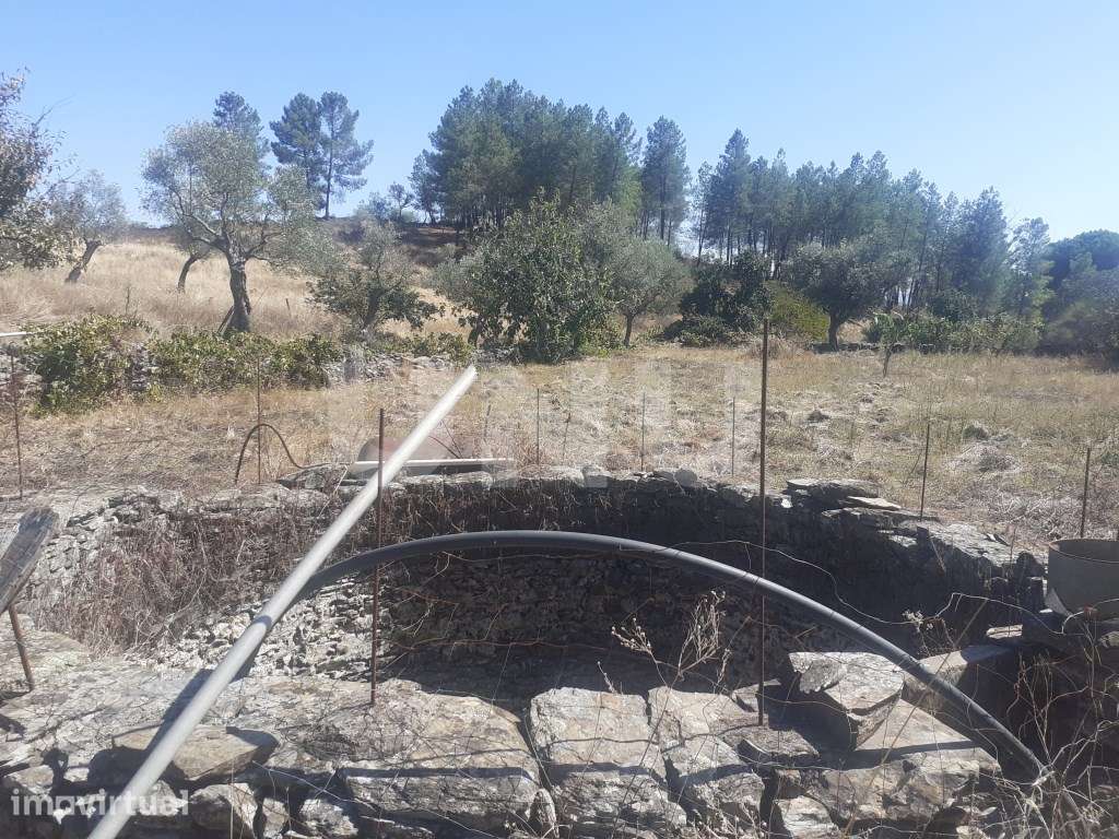 Terreno Rústico com 7500m2 de área - Grande imagem: 5/16